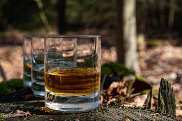 Degustacja Szkockiej Whisky Single Malt Wyspy Islay Najbardziej Intensywnie Smakowanej — Zdjęcie stockowe