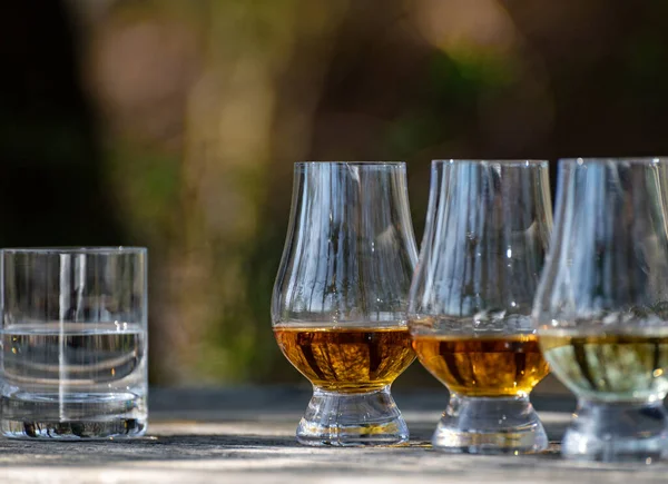 Degustación Whisky Escocés Malta Simple Isla Islay Más Intensamente Aromatizado — Foto de Stock