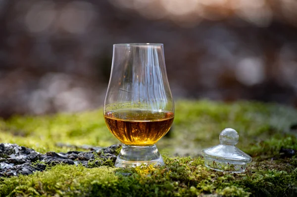 Degustacja Szkockiej Whisky Single Malt Wyspy Islay Najbardziej Intensywnie Smakowanej — Zdjęcie stockowe