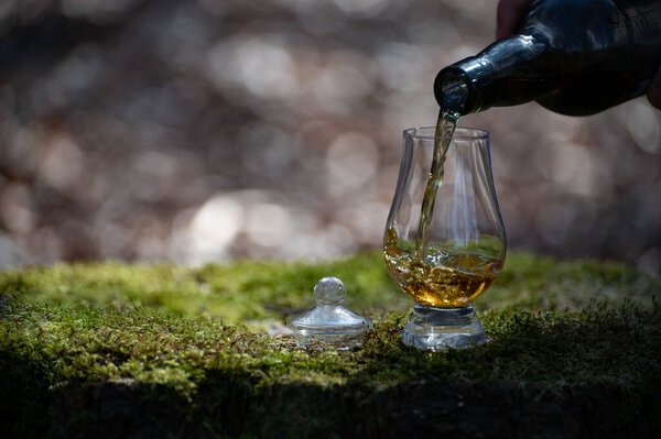 Tasting of scotch single malt whisky from Islay island, most intensely flavoured of all whiskies in Scotland with green moss and old stump background