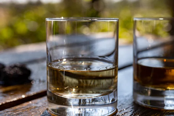 アイラ島のスコッチシングルモルトウイスキーの試飲 晴れた日に古い庭のテーブルの上にスコットランドのすべてのウイスキーの中で最も激しく風味 — ストック写真