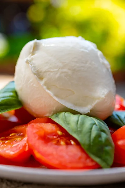 Ingredients Vegetarian Caprese Salad Ball Buffalo Mozzarella Cheese Fresh Basil — Stock Photo, Image