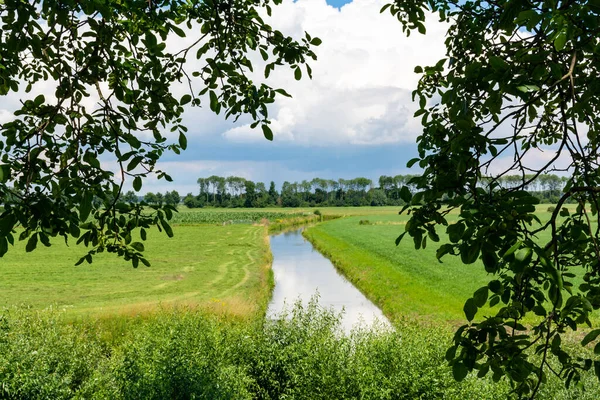 Paisagem Verde Holandesa Com Nuvens Brancas Verão Região Frutas Betuwe — Fotografia de Stock