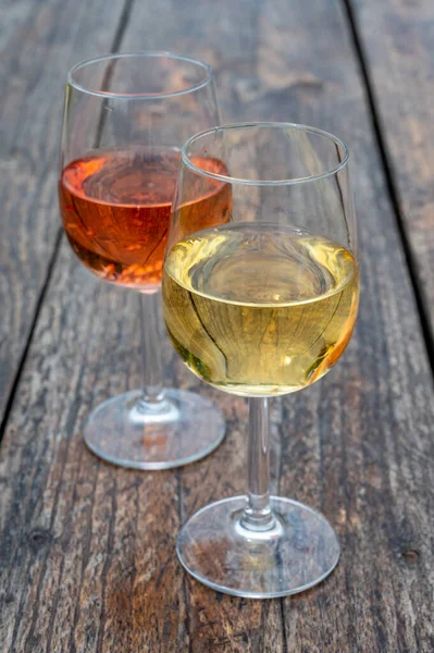 Degustação Espumante Holandês Rosa Vinho Branco Seco Vinha Verão — Fotografia de Stock