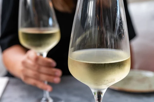 Beber Vinho Branco Frio Com Amigos Terraço Livre Férias Verão — Fotografia de Stock