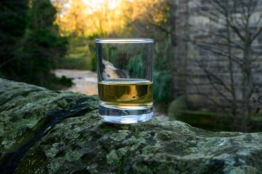 Scotch single malts or blended whisky spirits in glasses with water of river Spey on background, Scotland, UK clipart