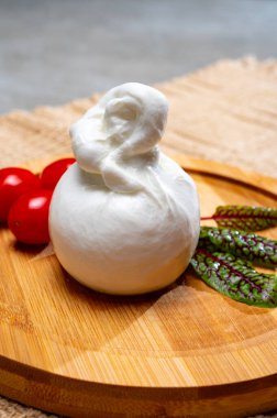 Peynir koleksiyonu, mozzarelladan yapılmış taze beyaz burrata peyniri ve Apulia, İtalya 'dan gelen krema.