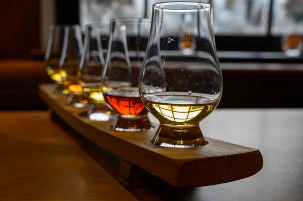 Flug Von Schottischem Whisky Verkostungsgläser Mit Verschiedenen Single Malts Oder — Stockfoto