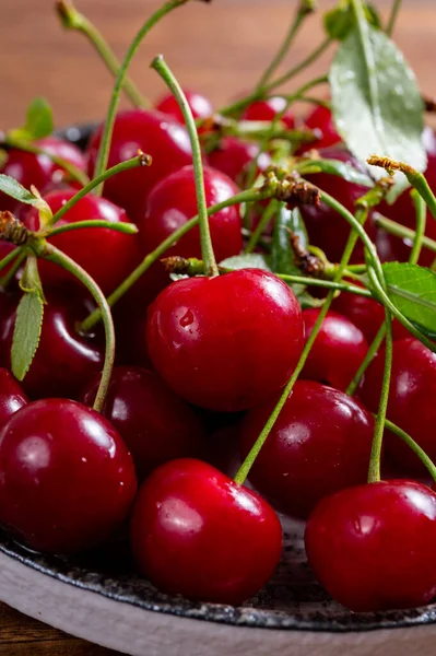 Nueva Cosecha Cereza Agria Jugosa Madura Roja Fruta Baya Del — Foto de Stock