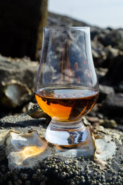 Tasting Glass Scotch Whisky Sea Shore Background Low Tide Smoky — Stock Photo, Image