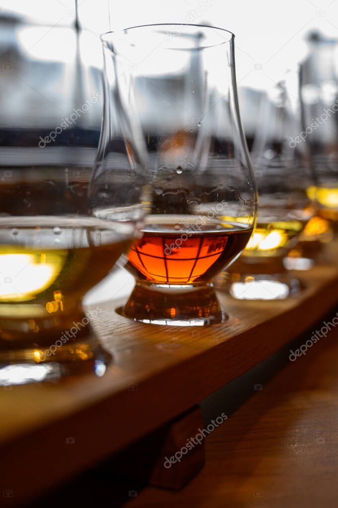 Flight of Scottish whisky, tasting glasses with variety of single malts or blended whiskey spirits on distillery tour in Scotland, UK