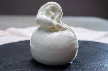 Peynir koleksiyonu, mozzarelladan yapılmış taze beyaz burrata peyniri ve Apulia, İtalya 'dan gelen krema.