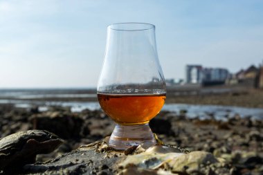 Bir bardak viski ve deniz kenarı tatmak alçak gelgit sırasında, dumanlı viski ve istiridye eşleşmesi.