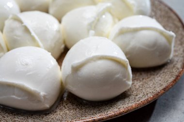 Lezzetli İtalyan yemekleri, taze beyaz bufalo mozzarella yumuşak peynir topları Campania 'dan