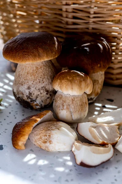 Rei Cogumelos Comestíveis Saborosos Boletus Edulis Porcini Cepe Pronto Para — Fotografia de Stock