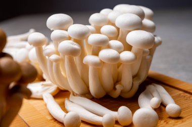 Asya 'dan taze pişmemiş ona kahverengisi ve bunapi beyazı yenebilir mantar, umami tadım bileşikleri bakımından zengin, örneğin guanyum ve glutamik asit.