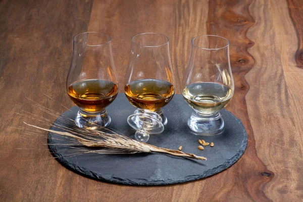 Scotch Single Malt Blended Whisky Tasting Distillery Scotland Close — Stock Photo, Image