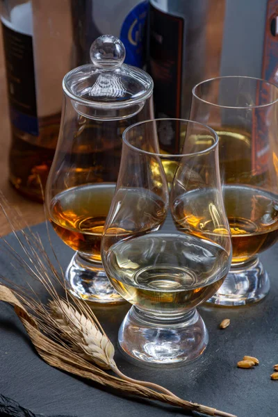 Scotch Single Malt Und Blended Whisky Verkostung Einer Brennerei Schottland — Stockfoto
