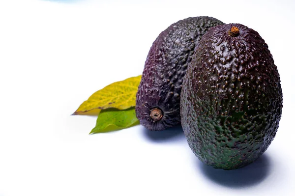 Gesundes Essen Frische Reife Haß Avocadofrucht Aus Peru Isoliert Auf — Stockfoto