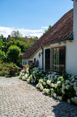 Büyük tarihi olan küçük bir kasabadaki eski Hollanda evleri Buren, Gelderland, Hollanda