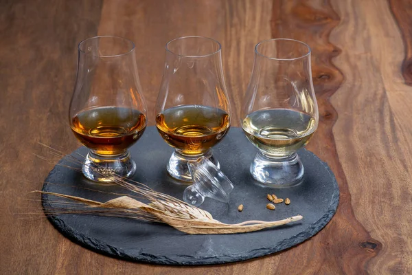 Scotch Single Malt Und Blended Whisky Verkostung Einer Brennerei Schottland — Stockfoto