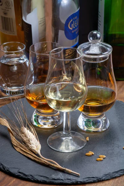 Whisky Escocés Malta Cata Whisky Mezclado Destilería Escocia Cerca — Foto de Stock