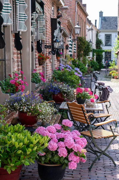 Gamla Holländska Hus Liten Antik Stad Med Stor Historia Buren — Stockfoto