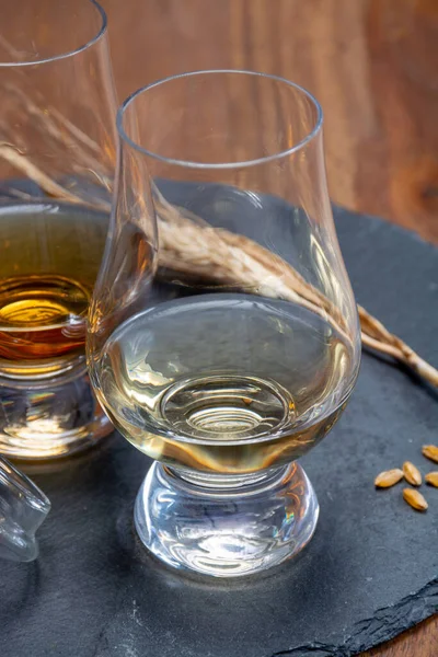 Whisky Escocés Malta Cata Whisky Mezclado Destilería Escocia Cerca — Foto de Stock