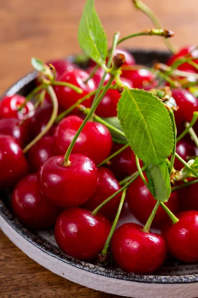 Nouvelle Récolte Cerises Acides Juteuses Rouges Fruits Baies Kriek — Photo