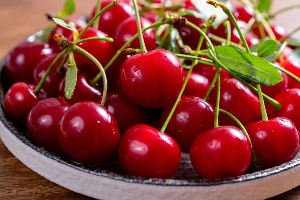 Nueva Cosecha Cereza Agria Jugosa Madura Roja Fruta Baya Del — Foto de Stock