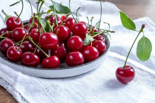 Neue Ernte Von Roten Reifen Saftigen Sauerkirschen Oder Kriek Beerenfrüchten — Stockfoto