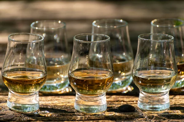 Provning Olika Skotska Whisky Utomhusterrass Whisky Nära Håll — Stockfoto