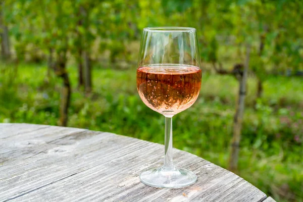 Degustação Espumante Holandês Vinho Rosa Vinha Verão — Fotografia de Stock