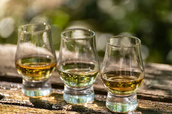 Proeverij Van Verschillende Schotse Whisky Het Buitenterras Dram Whisky Close — Stockfoto
