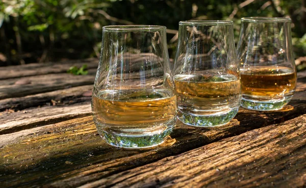 Verkostung Verschiedener Schottischer Whiskys Auf Der Außenterrasse Dram Whisky Close — Stockfoto