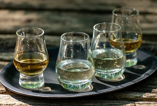 Tasting Different Scotch Whiskies Outdoor Terrace Dram Whiskey Close — Stock Photo, Image