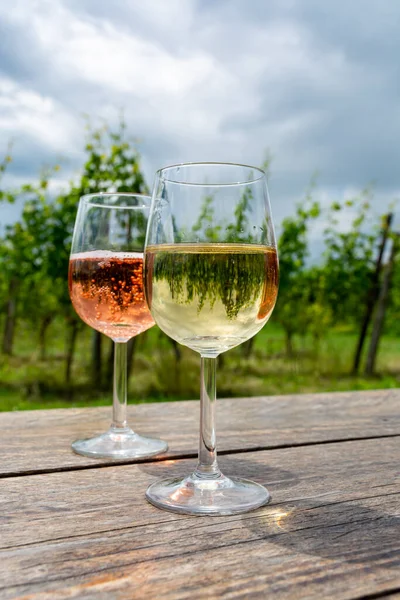 Degustação Espumante Holandês Rosa Vinho Branco Seco Vinha Verão — Fotografia de Stock