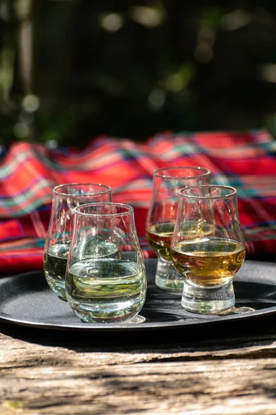 Degustación Diferentes Whiskies Escoceses Terraza Aire Libre Dram Whisky Tartán — Foto de Stock