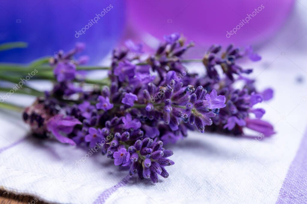 Bunch of fresh, purple aromatic lavender flowers in gift shop in Provence, France close up