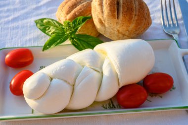 İtalyan bufalosundan yapılmış yumuşak, beyaz İtalyan peynirli mozzarella bufalosu Amaseno, Lazio, İtalya 'da makarna filata metodu.