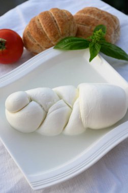 İtalyan bufalosundan yapılmış yumuşak, beyaz İtalyan peynirli mozzarella bufalosu Amaseno, Lazio, İtalya 'da makarna filata metodu.