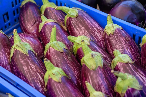 Friss Érett Ízletes Lila Padlizsán Kék Dobozban Mezőgazdasági Termelők Piacán — Stock Fotó