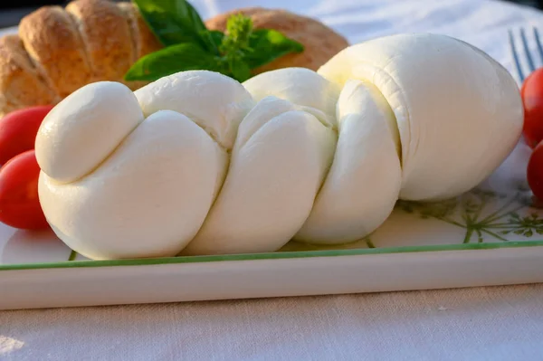 Fresh Soft White Italian Cheese Braid Mozzarella Buffalo Made Italian — Stock Photo, Image