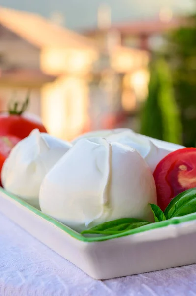 用意大利水牛奶 用罗勒和红西红柿 用意大利面食法制成的新鲜柔软的意大利乳酪莫扎拉水牛 — 图库照片