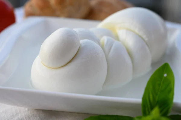 Tresse Fraîche Fromage Blanc Italien Mozzarella Lait Buffle Italien Selon — Photo