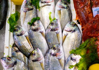 Günün avı, İtalya 'nın Terracina kentindeki balık restoranında buzda taze balık ve deniz yiyeceği.