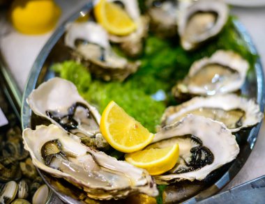 Günün avı, taze çiğ istiridye ve buzlu deniz yiyeceği Terracina, İtalya 'da balık restoranında.