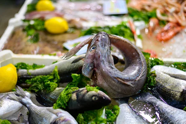 Vangsten Van Dag Verse Vis Zeevoedsel Ijs Visrestaurant Terracina Italië — Stockfoto