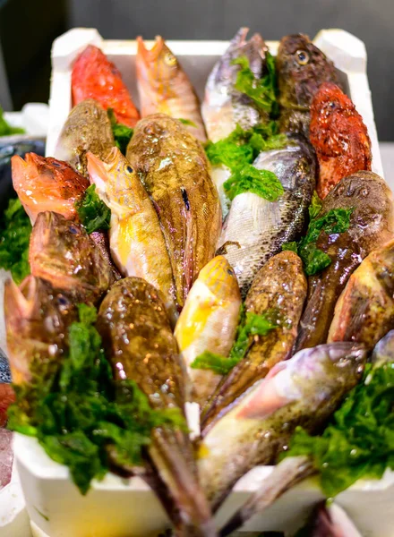イタリア テラチーナの魚料理店で 氷の上の一日 新鮮な魚や海の食べ物をキャッチアップ — ストック写真