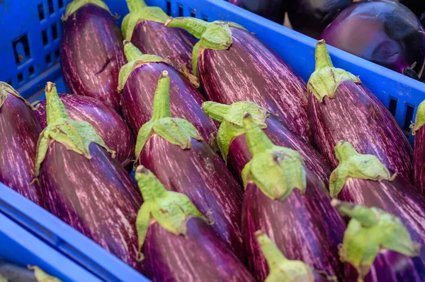 イタリアのファーマーズマーケットの青い箱の中に新鮮な熟したおいしい紫色のナスを閉じます — ストック写真